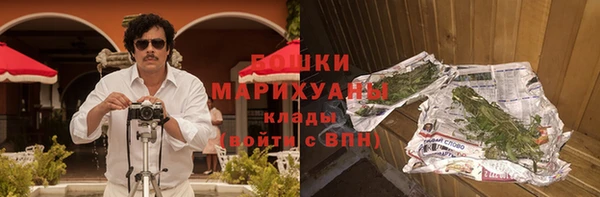 мдпв Елабуга