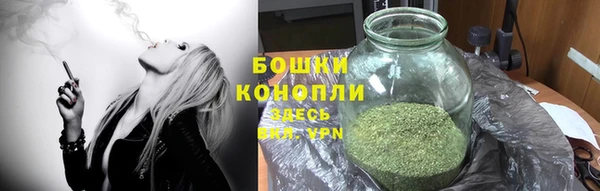 прущие крисы Елизово