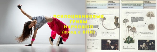 МДМА Ельня