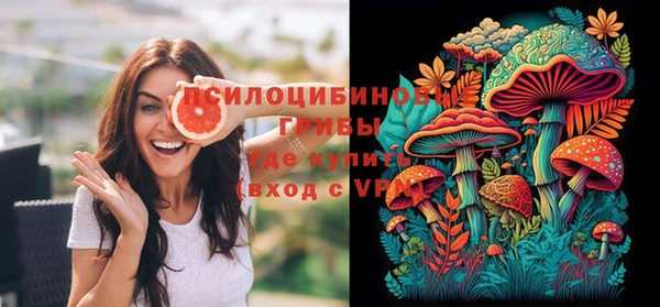 бошки Дмитров