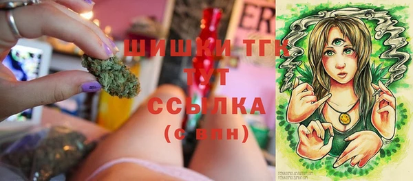 мдпв Елабуга