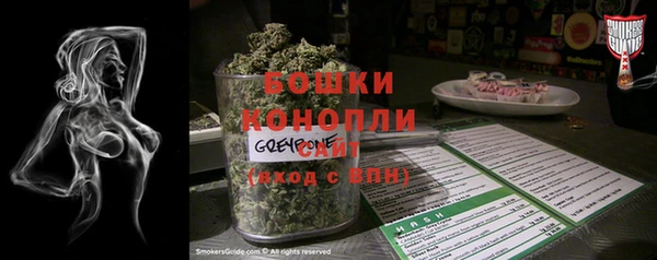мдпв Елабуга